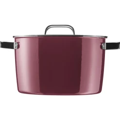 Kochtöpfe|Induktionstöpfe|WMF Fusiontec Aromatic Kochtopf, 24 cm, Rose Quartz