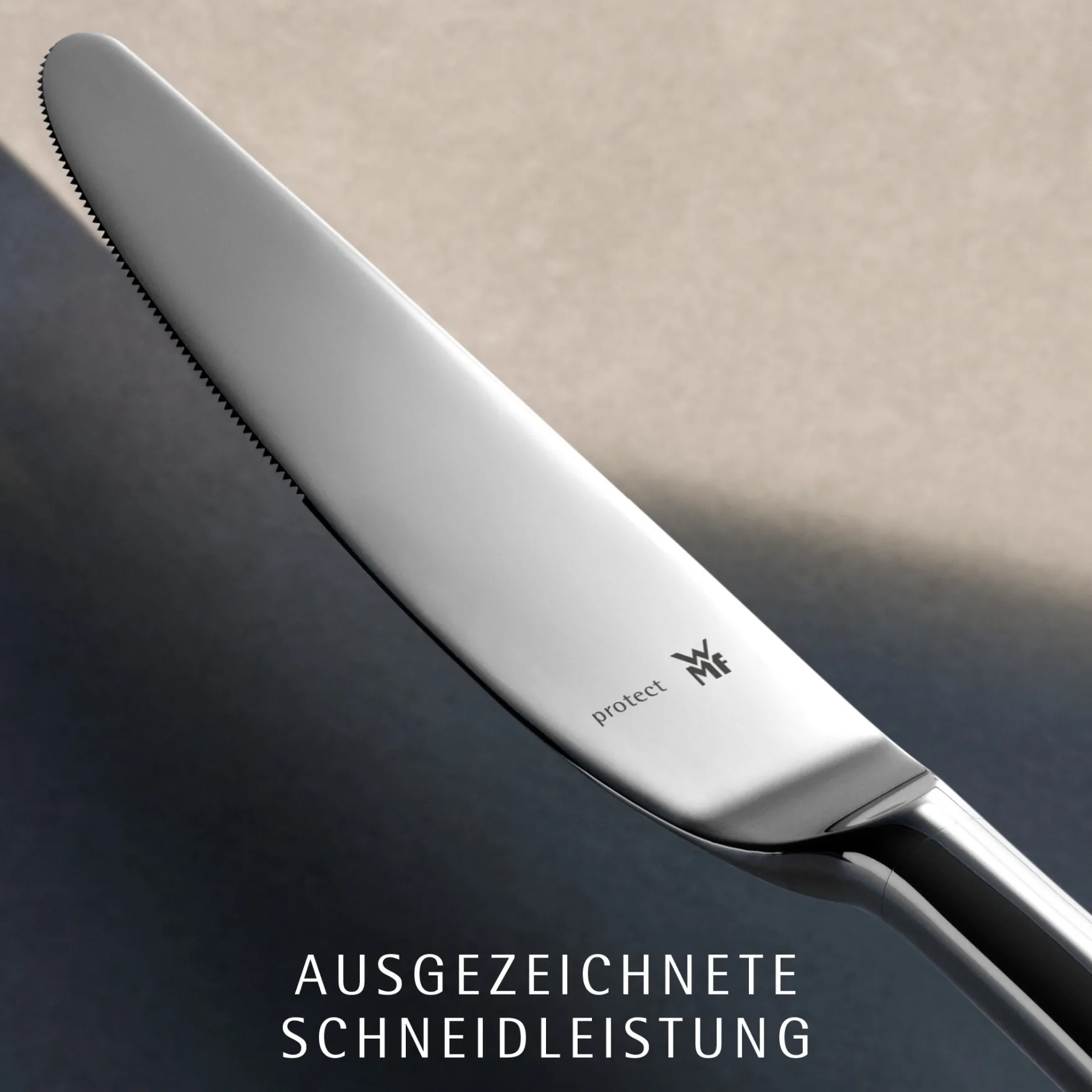 Besteck-Sets|WMF Virginia Besteck-Set, 66-teilig, Cromargan protect®